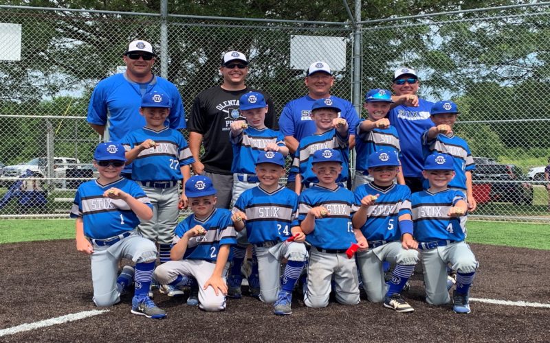 2019 USSSA 9U Open Division STATE CHAMPIONS